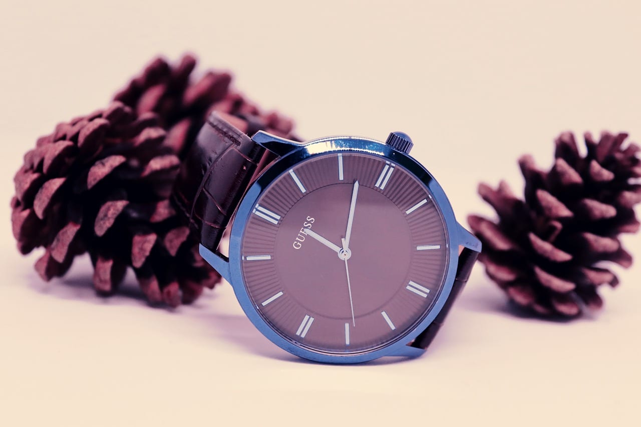 watch, jewelry, wristwatch, guess, time, pine cone, cone, pine, wristwatch, guess, guess, guess, guess, guess